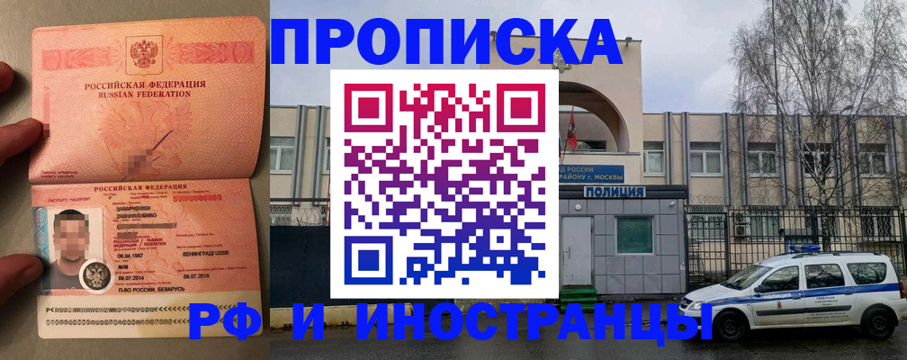 временная регистрация собственник в Тереке